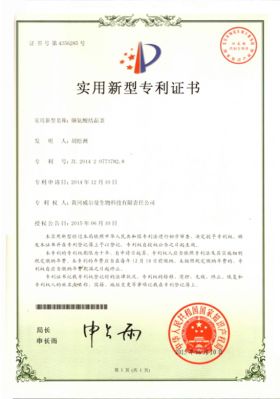 Patent certificate